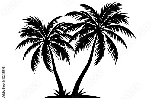 2 beautiful coconut silhouette