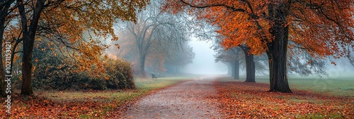 A tranquil autumn setting blending an atmospheric mist, fallen leaves, and a narrow path, hinting at relaxation and introspective moments. photo