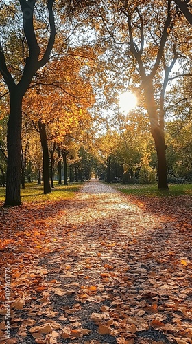 A sunny autumn scene with golden leaves covering a path lined by tall trees, casting long shadows and creating a warm, serene nature path view.