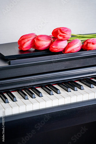 a beautiful bouquet of fresh pink tulips lies on a black piano, the piano keys are visible