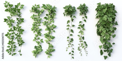 Wallpaper Mural A group of green plants hanging from a white wall, perfect for interior design or home decor Torontodigital.ca