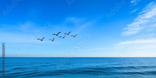 Group of birds in flight over a vast blue ocean on a sunny day with white clouds  creating a sense of freedom and calm