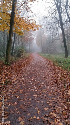 A captivating view of a misty forest path covered in a thick layer of fallen autumn leaves, with tall trees forming a natural arch under the foggy sky.