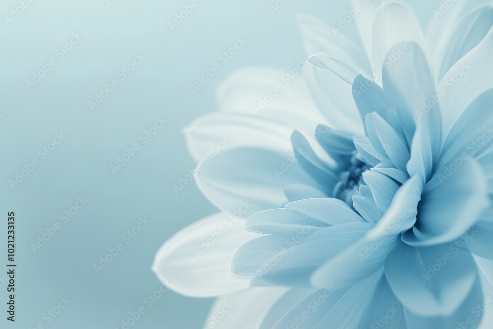 Soft Blue Flower Close-Up for Serene Designs Soft Blue Flower Close-Up for Serene Designs
