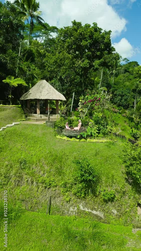 Woman and daughter sit in nest on rice terraces in Bali, Indonesia. Aerial vertical drone view. Woman and daughter sit in nest on rice terraces in Bali, Indonesia. Aerial vertical drone view.