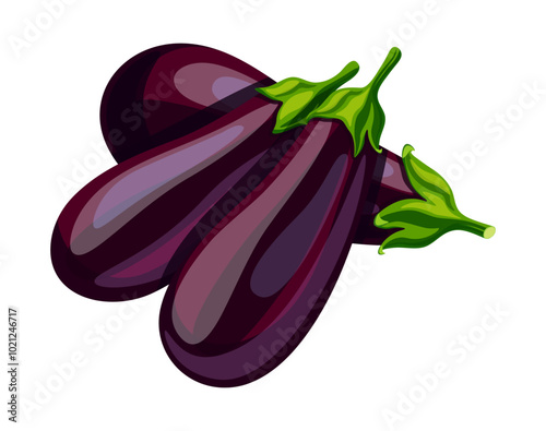 Group of fresh eggplants in cartoon style. Vector illustration of delicious whole eggplant with green stem isolated on white background. Useful vegetables. Healthy and nutritious food. Aubergine.