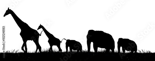 Photography silhouette animal ( giraffe, elephant ) with grass