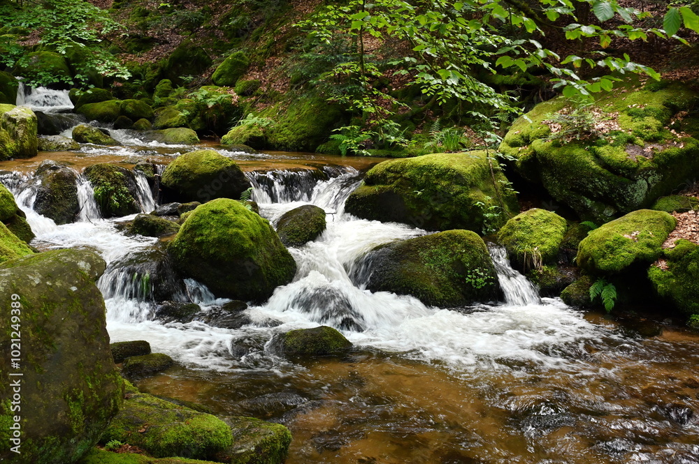 Gertelbachfaelle im Schwarzwald Gertelbachfaelle im Schwarzwald