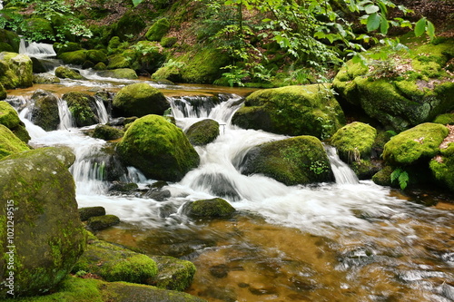 Gertelbachfaelle im Schwarzwald