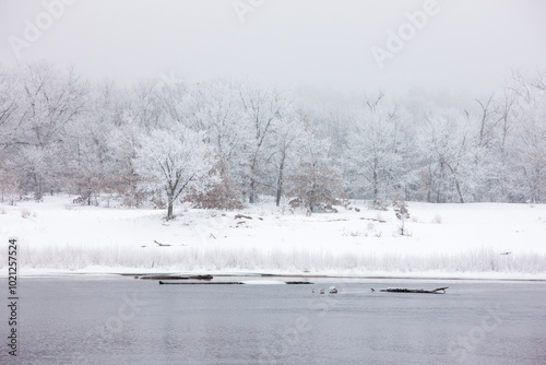 Trees frosted in the cold January winter morning on the shoreline of the Wisconsin River at Prairie du Sac, Wisconsin.