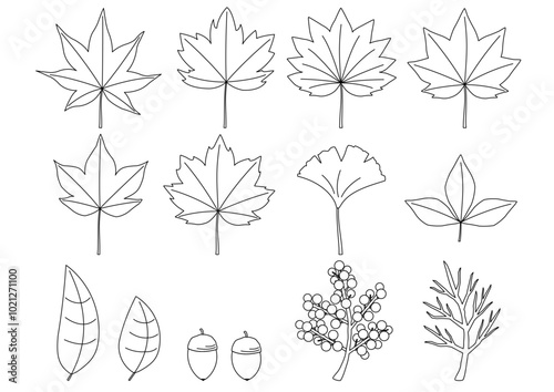 紅葉をイメージした落ち葉や木の実のイラストのセット_線画
