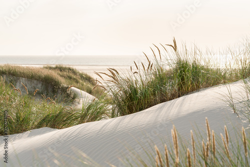 Fototapeta Naklejka Na Ścianę i Meble -  Sonnenuntergang in den Dünen der Nordsee