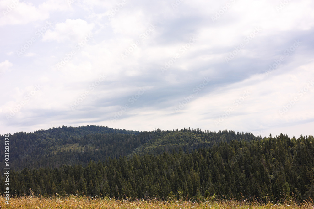 Beautiful view of forest in mountains under blue sky Beautiful view of forest in mountains under blue sky