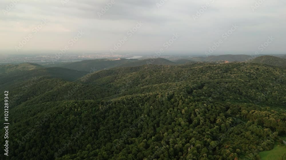 Aerial drone view of forest and hills Aerial drone view of forest and hills