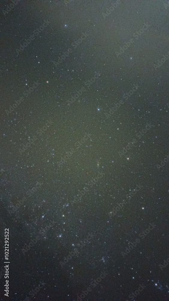 the abundant starry sky sparkles with many stars the abundant starry sky sparkles with many stars