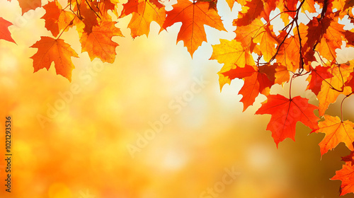 Yellow maple leaves against the background of a blurred beautiful autumn park. Design template for wallpapers, backdrops and autumn backgrounds with copyspace