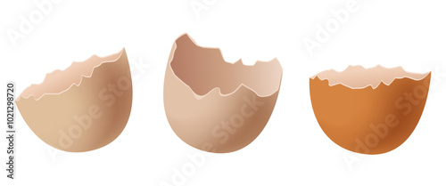 Chicken egg shell. Vector 3D clipart isolated on white background.