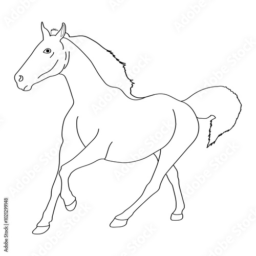 Horse line art vector design. Horse outline illustration design.