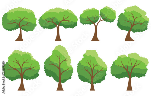 Collection of tree isolated on a white background. Each species of trees. A tree with green leaves. Nature or healthy lifestyle topics. Vector illustration flat design style