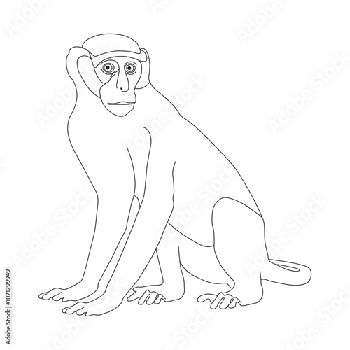 Monkey line art vector design.  Monkey outline illustration design.