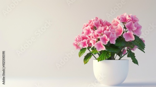 Pink Hydrangea in a White Pot - Blooming Flowers in a Floral Arrangement