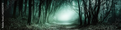 Misty forest pathway shrouded in eerie blue tones