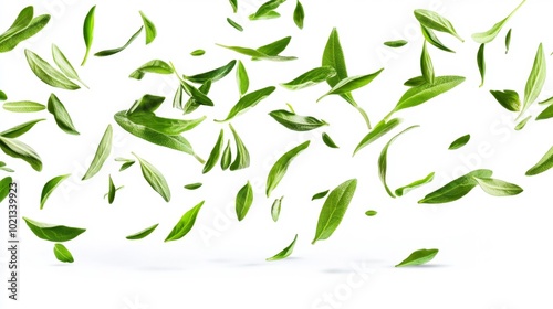 Falling tarragon leaves isolated on a white background a high-quality stock image for cooking and herb-related visuals. Generative AI