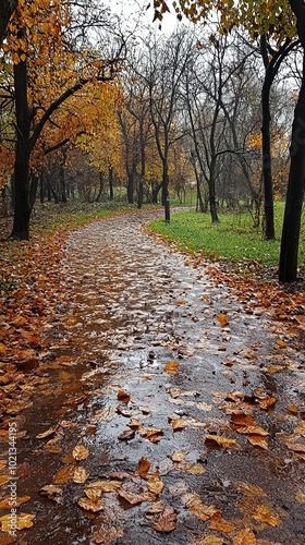 A curving pathway in a rainy autumn forest is strewn with colorful leaves, offering a serene and quiet place for contemplation surrounded by nature’s seasonal beauty. photo