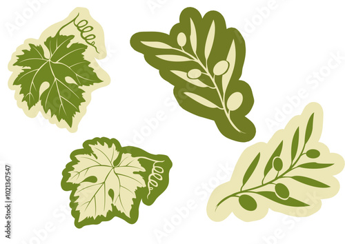 Feuille d’Olivier et de vignes