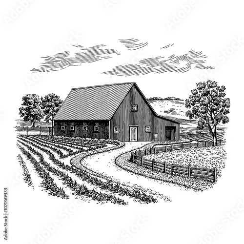 Black and White Outline Line Art Drawing of a Farmhouse with a Winding Driveway, Fence, and Fields