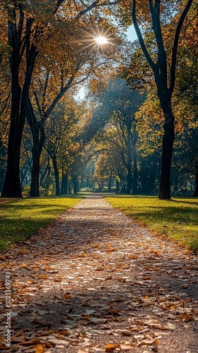 A sunlit alleyway in a park framed by tall, vibrant trees. Sunrays filter through lush foliage, creating a warm glow along the leaf-strewn path in tranquil nature. photo