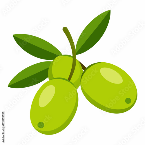 Olives lie on top view vector illustration