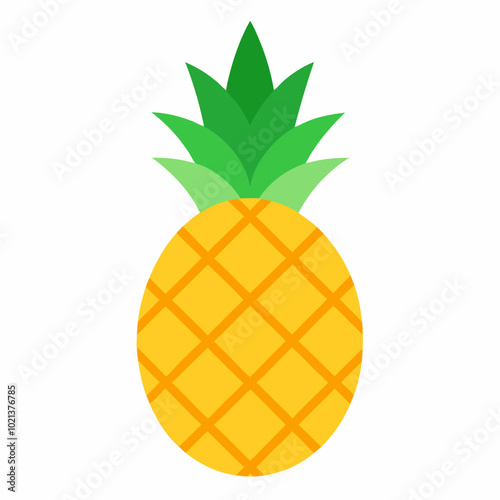 Pineapple fruits  vector illustration