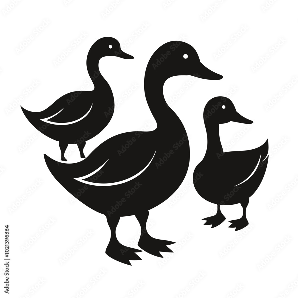 Obraz premium Ducks Silhouette Vector Set, Duck Animal Outline Drawing Bundle, Duck Isolated Clip Art Design. White Background. bird Duck Vector Set.