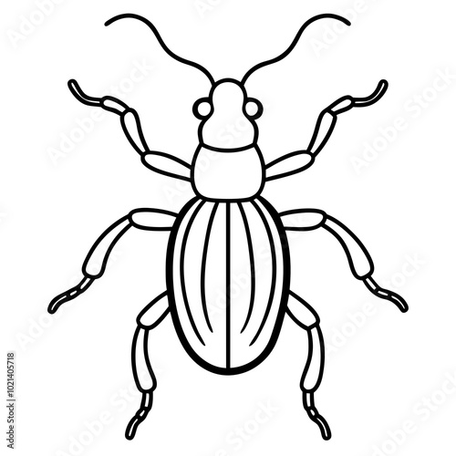 Weevil line art vector illustration 