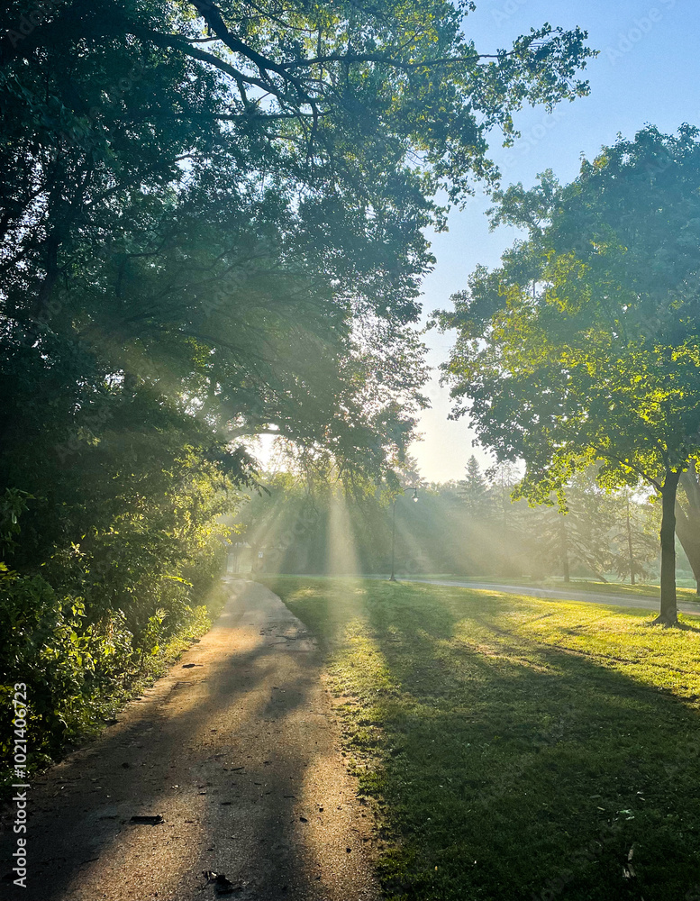 Obraz premium Light beams on a walking path