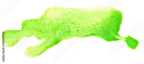 A vibrant splash of green watercolor, evoking nature’s essence, flows freely across a canvas, reminiscent of lush landscapes in springtime