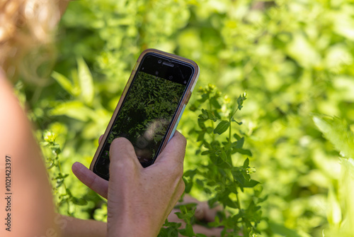 Woman is using a smartphone app to identify plants while exploring a lush green environment. Selective focus