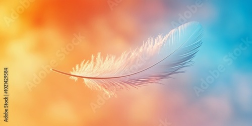 Delicate white feather floating gracefully against a soft orange and blue gradient background photo