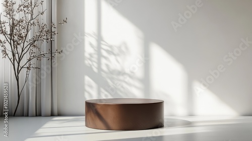 Brown display pedestal in room with window light background 3D rendering photo