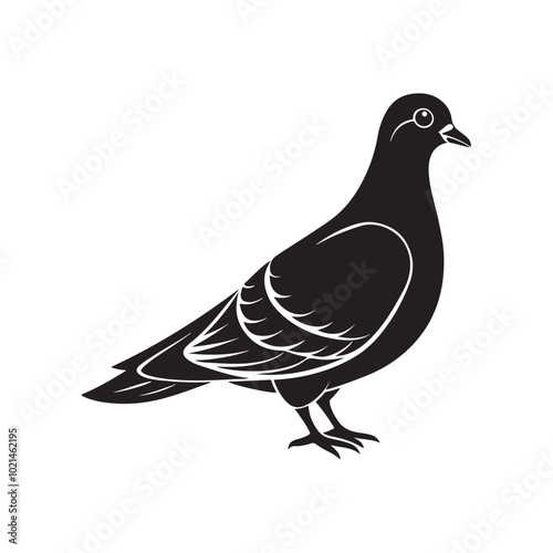 Pigeon silhouette vector, black and white silhouette, vector and illustration