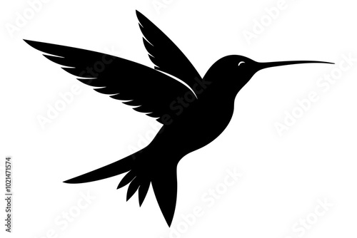 hummingbird silhouette vector illustration