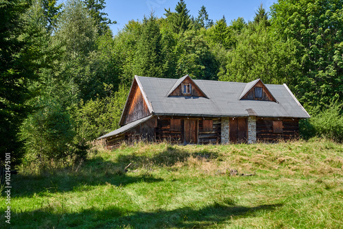 Fototapeta Naklejka Na Ścianę i Meble -  highlander, wooden hut in a clearing in the Beskidy mountains