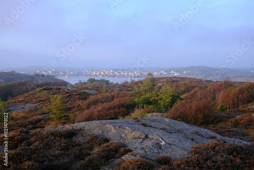 Stocken town at sunset with heather foreground, purple sky and fog, Orust, Sweden photo