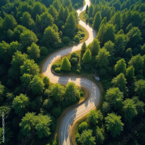 Aerial view of a winding road through lush green forests, ideal for nature tourism, outdoor adventures, and travel promotions. photo