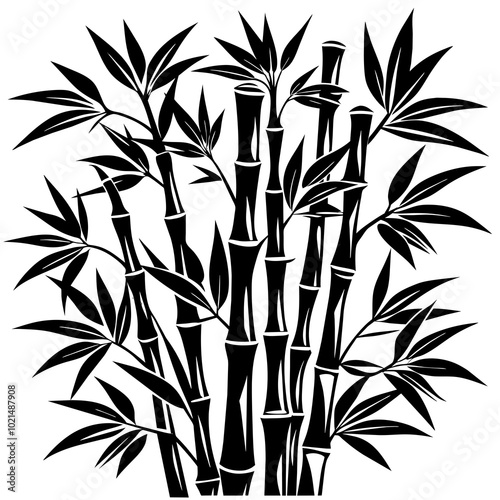 bamboo illustration