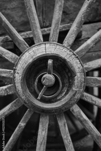 Rueda carro blanco y negro