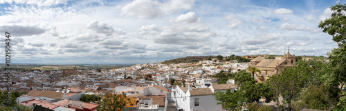 Panoramic view of Osuna from the Collegiate Church of Seville