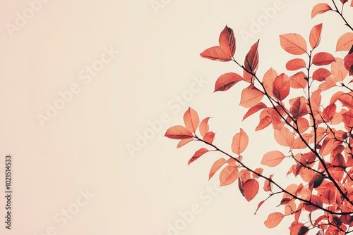 Delicate Branch with Softly Colored Autumn Leaves Against a Light Background