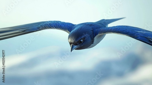 Close-up of a swallowas sleek blue feathers and pointed wings, in mid-flight against a clear sky. photo